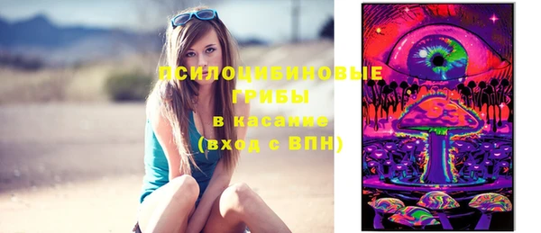 mdpv Белокуриха