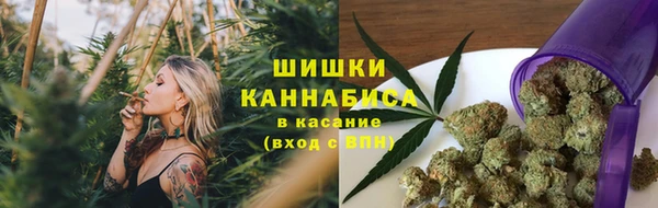 mdpv Белокуриха