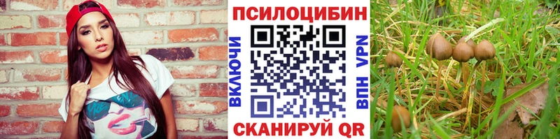 Псилоцибиновые грибы Cubensis  Купить где  Керчь 